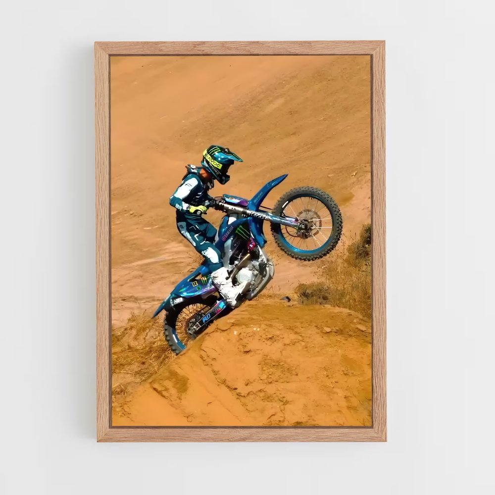 Poster Freestyle Rider – affiche Motocross freestyle (vue 4)